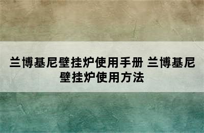 兰博基尼壁挂炉使用手册 兰博基尼壁挂炉使用方法